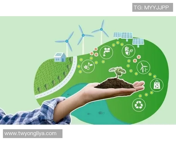 推动绿色发展可持续赛事管理的创新实践与未来展望